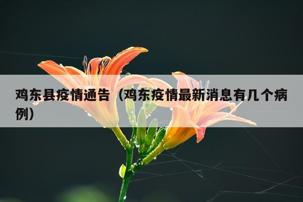 鸡东县疫情通告（鸡东疫情最新消息有几个病例）