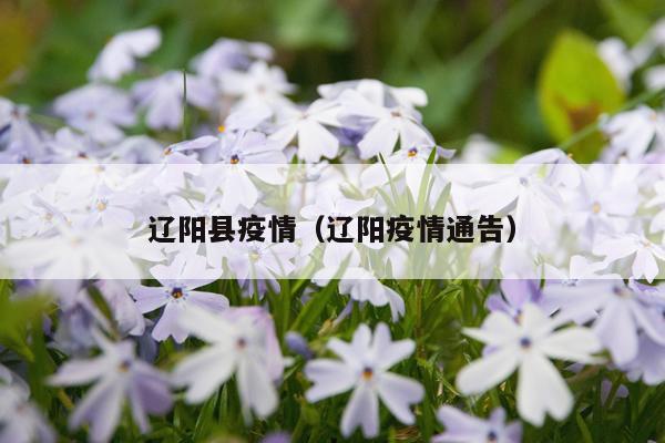 辽阳县疫情（辽阳疫情通告）