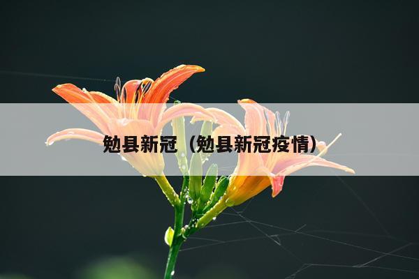 勉县新冠（勉县新冠疫情）