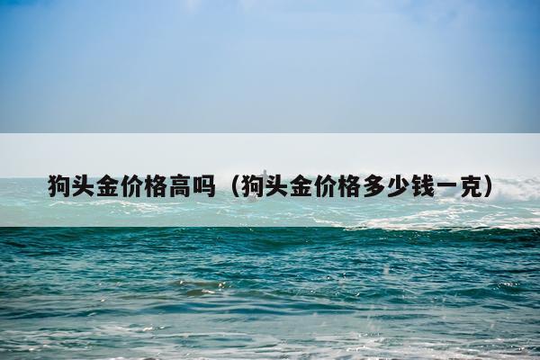 狗头金价格高吗（狗头金价格多少钱一克）