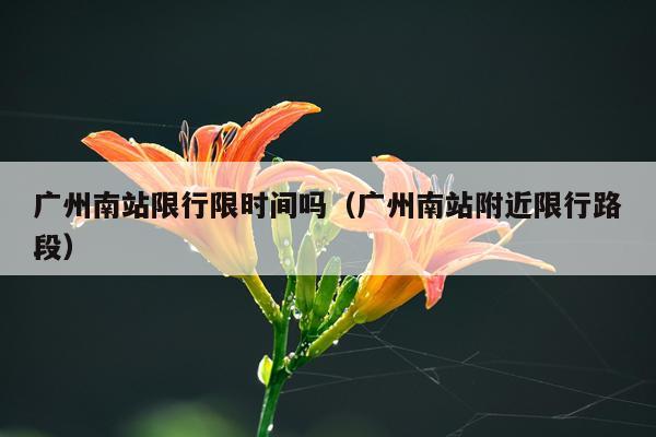广州南站限行限时间吗（广州南站附近限行路段）