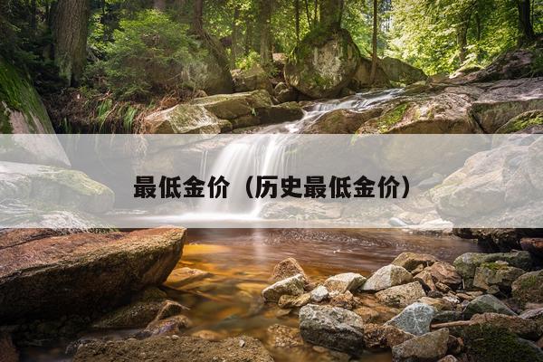 最低金价（历史最低金价）