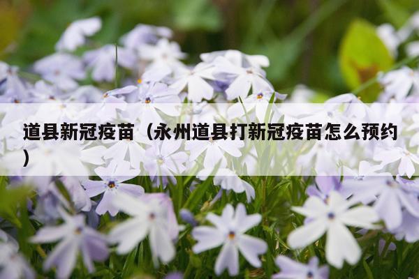 道县新冠疫苗（永州道县打新冠疫苗怎么预约）