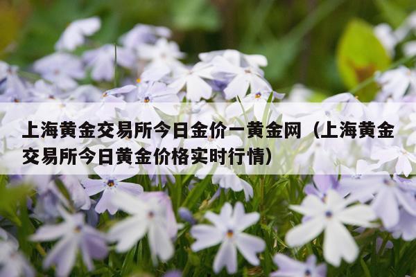 上海黄金交易所今日金价一黄金网（上海黄金交易所今日黄金价格实时行情）