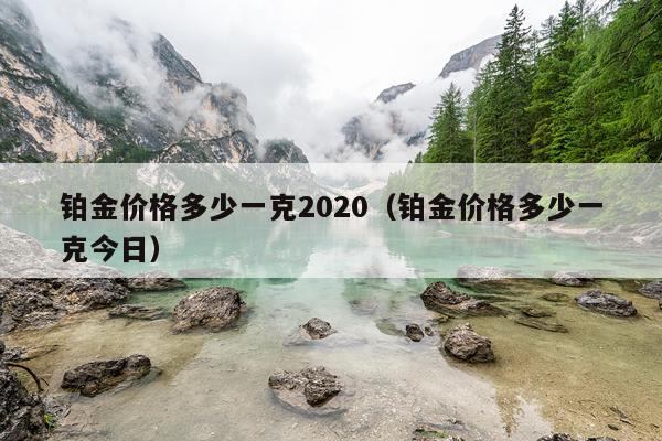 铂金价格多少一克2020（铂金价格多少一克今日）