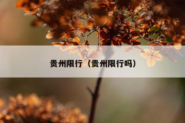 贵州限行（贵州限行吗）
