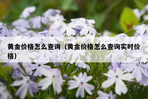 黄金价格怎么查询(黄金价格怎么查询实时价格)