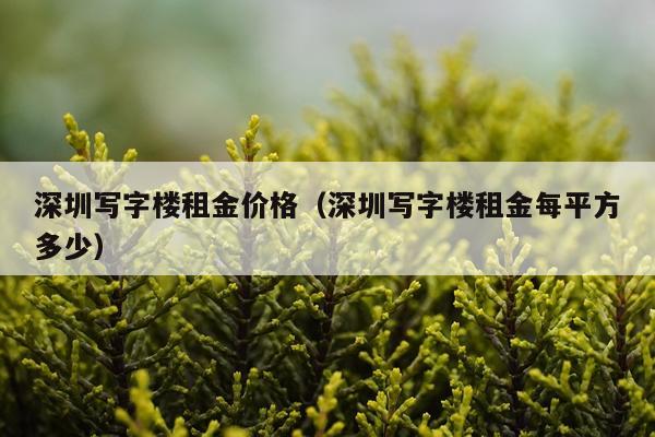 深圳写字楼租金价格(深圳写字楼租金每平方多少)