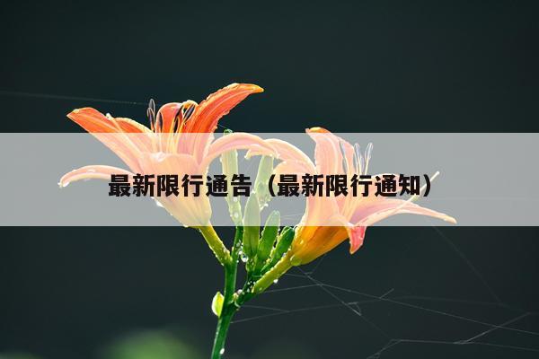 最新限行通告(最新限行通知)
