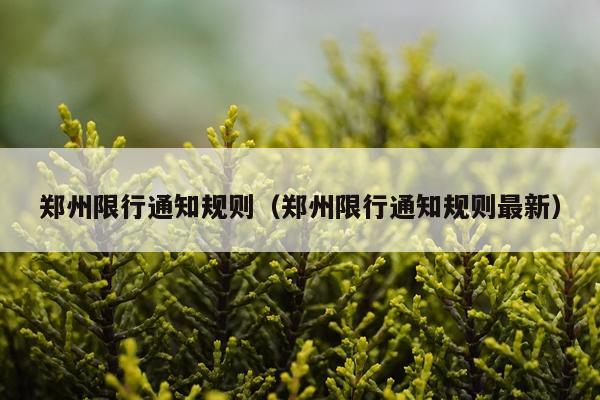 郑州限行通知规则（郑州限行通知规则最新）