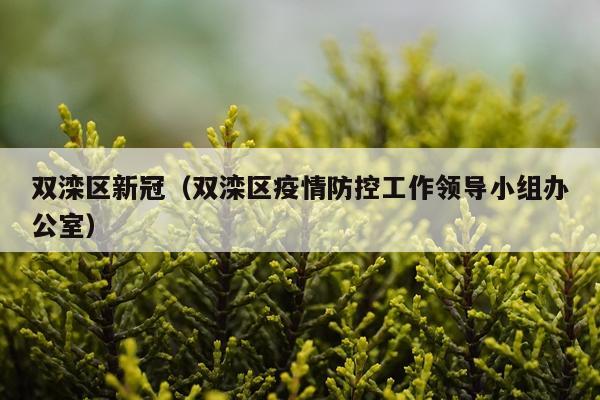 双滦区新冠（双滦区疫情防控工作领导小组办公室）