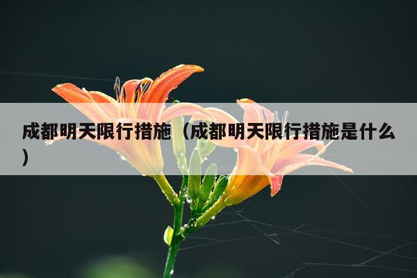 成都明天限行措施（成都明天限行措施是什么）