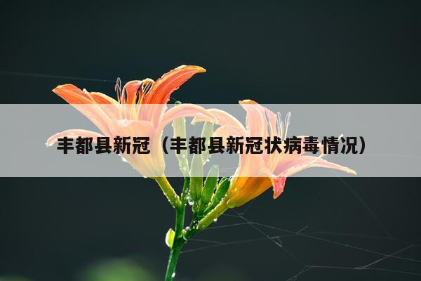 丰都县新冠（丰都县新冠状病毒情况）