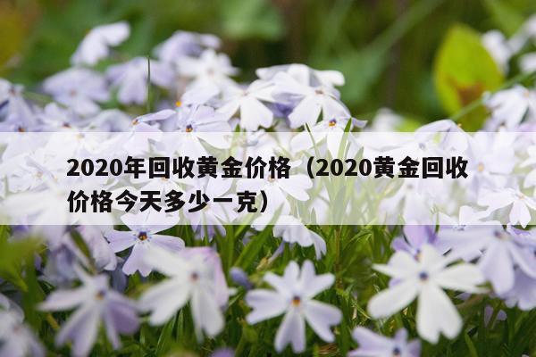 2020年回收黄金价格（2020黄金回收价格今天多少一克）