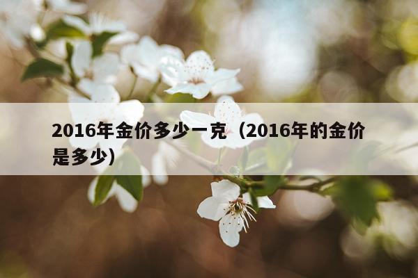 2016年金价多少一克（2016年的金价是多少）