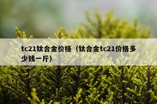 tc21钛合金价格（钛合金tc21价格多少钱一斤）