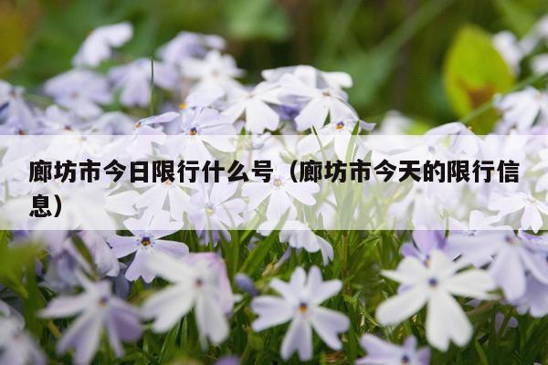 廊坊市今日限行什么号（廊坊市今天的限行信息）