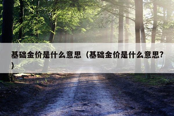 基础金价是什么意思（基础金价是什么意思?）