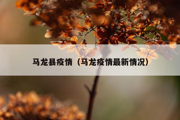 马龙县疫情（马龙疫情最新情况）