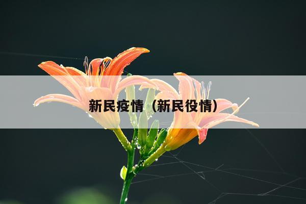 新民疫情（新民役情）