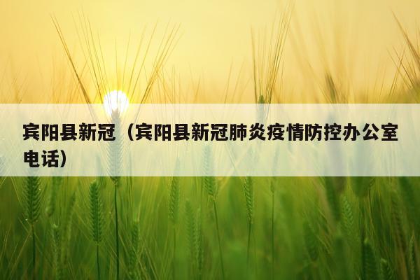 宾阳县新冠（宾阳县新冠肺炎疫情防控办公室电话）