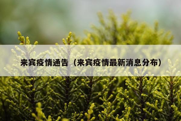 来宾疫情通告(来宾疫情最新消息分布)