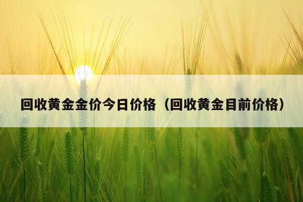 回收黄金金价今日价格（回收黄金目前价格）