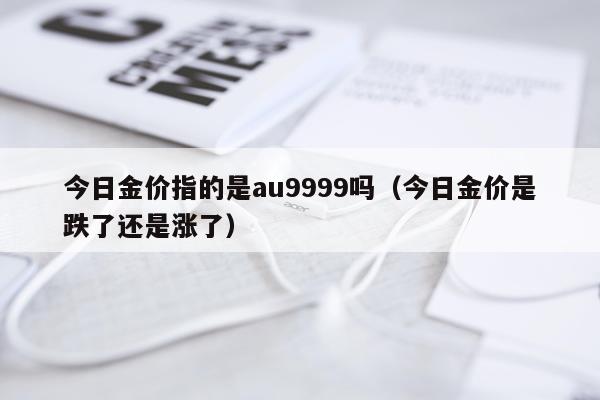 今日金价指的是au9999吗（今日金价是跌了还是涨了）