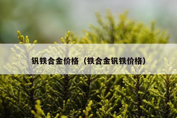 钒铁合金价格（铁合金钒铁价格）