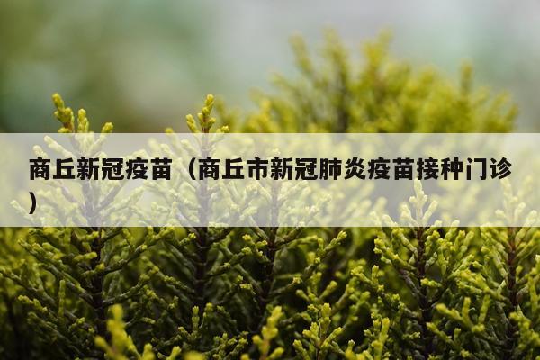 商丘新冠疫苗（商丘市新冠肺炎疫苗接种门诊）