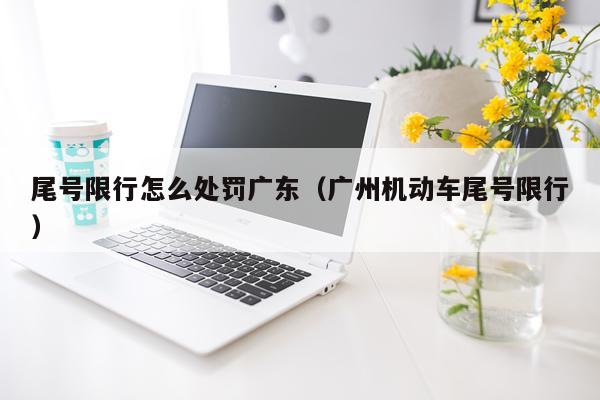 尾号限行怎么处罚广东（广州机动车尾号限行）