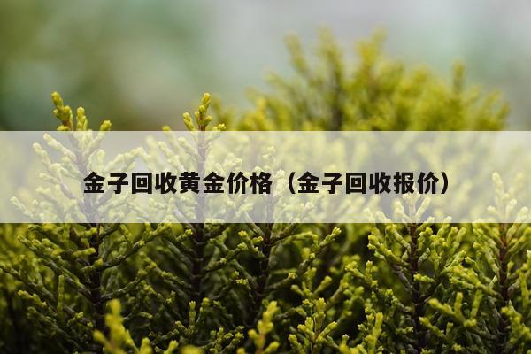 金子回收黄金价格(金子回收报价)
