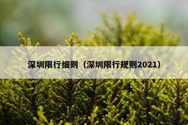 深圳限行细则（深圳限行规则2021）