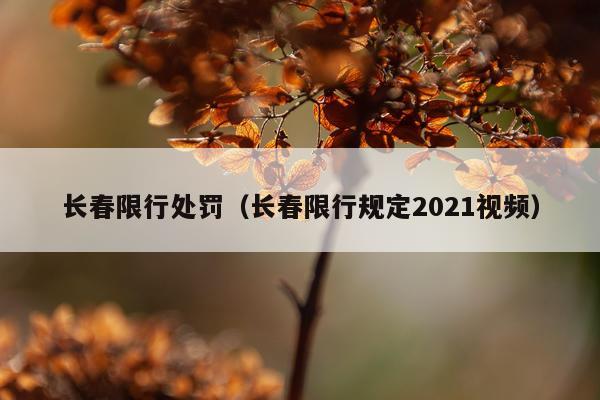 长春限行处罚（长春限行规定2021视频）