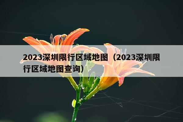 2023深圳限行区域地图（2023深圳限行区域地图查询）