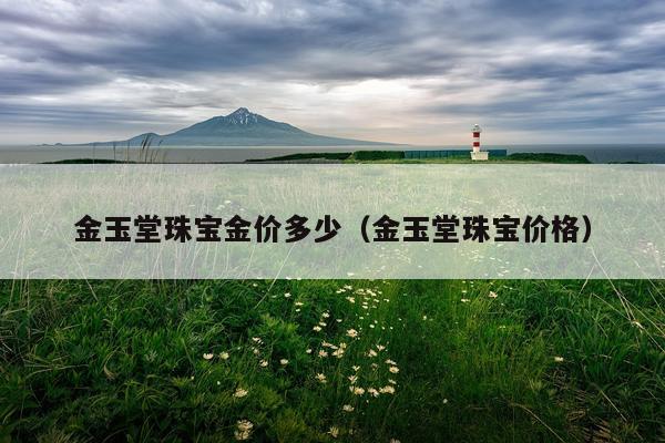 金玉堂珠宝金价多少（金玉堂珠宝价格）