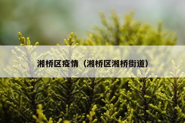 湘桥区疫情（湘桥区湘桥街道）