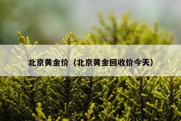 北京黄金价（北京黄金回收价今天）
