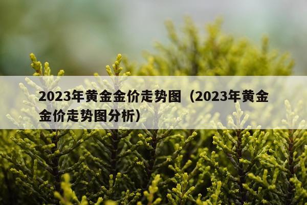2023年黄金金价走势图（2023年黄金金价走势图分析）