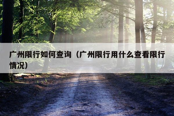 广州限行如何查询（广州限行用什么查看限行情况）