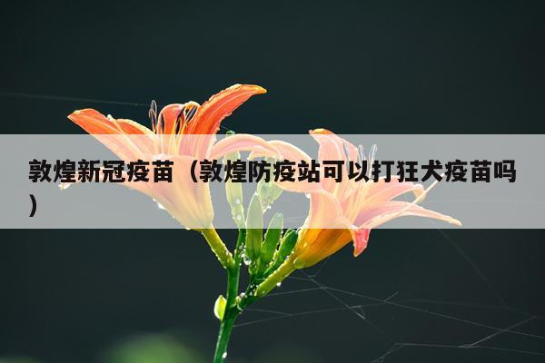 敦煌新冠疫苗（敦煌防疫站可以打狂犬疫苗吗）
