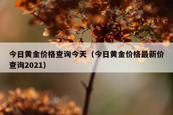 今日黄金价格查询今天（今日黄金价格最新价查询2021）