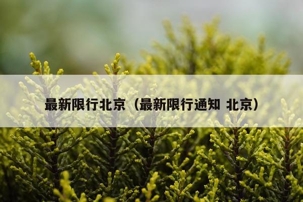 最新限行北京（最新限行通知 北京）