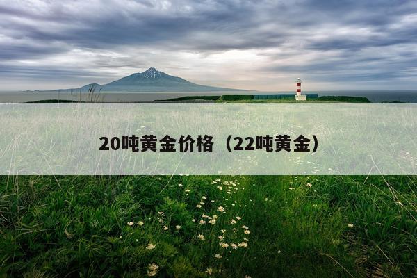 20吨黄金价格（22吨黄金）