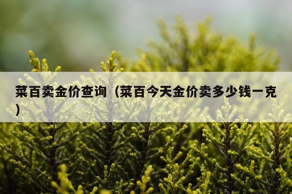 菜百卖金价查询（菜百今天金价卖多少钱一克）