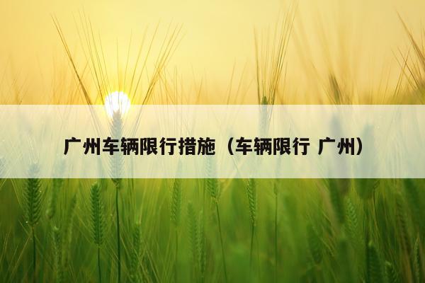广州车辆限行措施（车辆限行 广州）