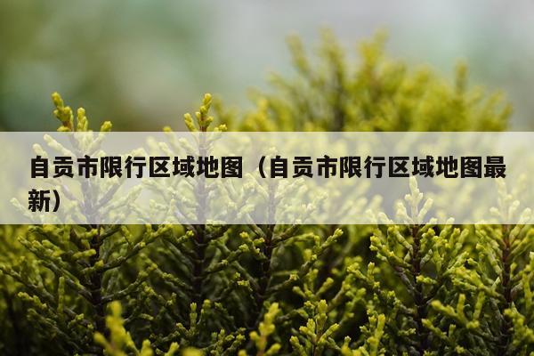 自贡市限行区域地图(自贡市限行区域地图最新)