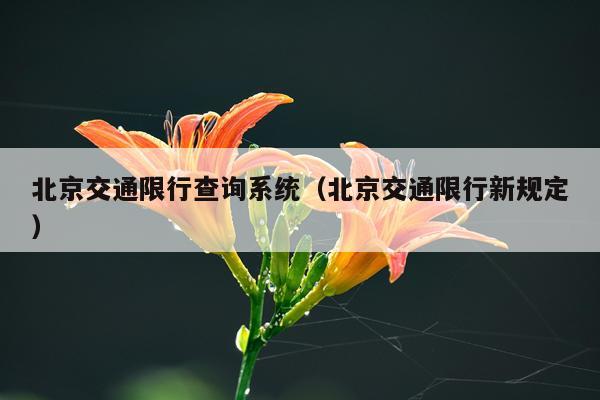 北京交通限行查询系统（北京交通限行新规定）