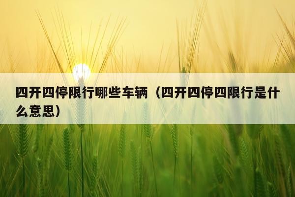 四开四停限行哪些车辆（四开四停四限行是什么意思）