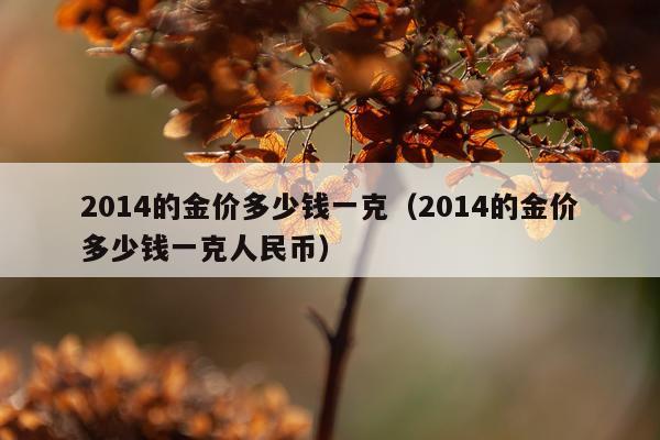 2014的金价多少钱一克（2014的金价多少钱一克人民币）